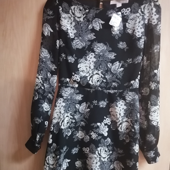 **Price Drop**NWT Forever21 long sleeve mini dress - Picture 1 of 2